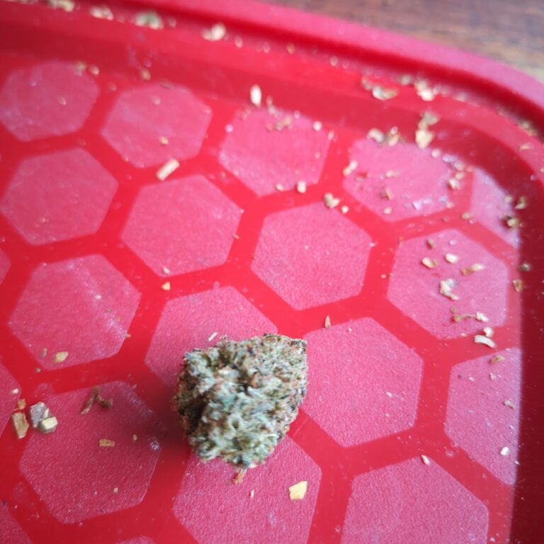 Click to view full screen Gelato 33 - 30% THCX photo review