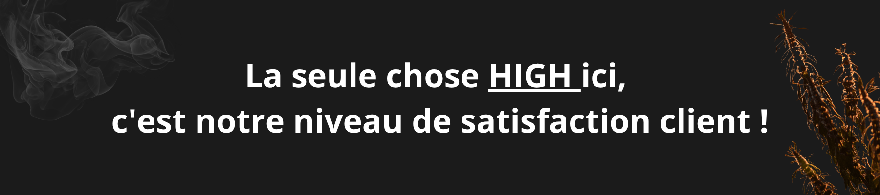 image illustrative avis clients CBD spliff